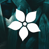 This is Melodic logo